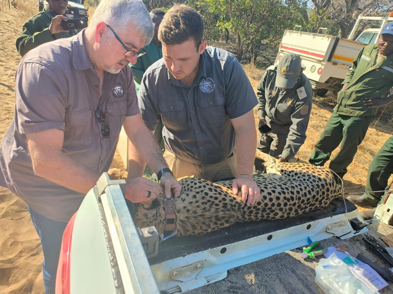 WhatsApp Image 2024-06-21 at 12.27.41 (1)